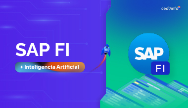 SAP FI R3 (Contabilidad Financiera)
